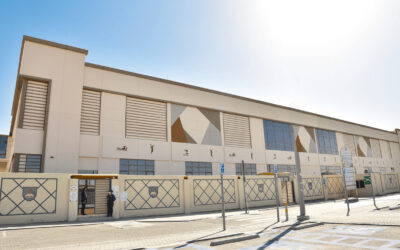 Virginia American School