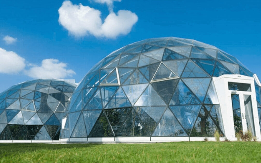 The Arbor School
