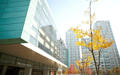 CHADWICK INTERNATIONAL SCHOOL