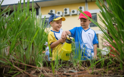 UNIS Botanical Garden & Recycling Hub: Where Learning Blooms!